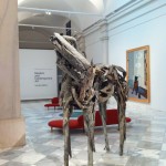 IMG_0777 IMG_0777